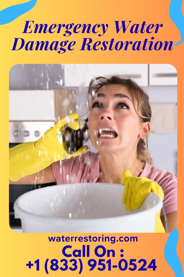 Emergency Water Damage Restoration in Orland Park, IL