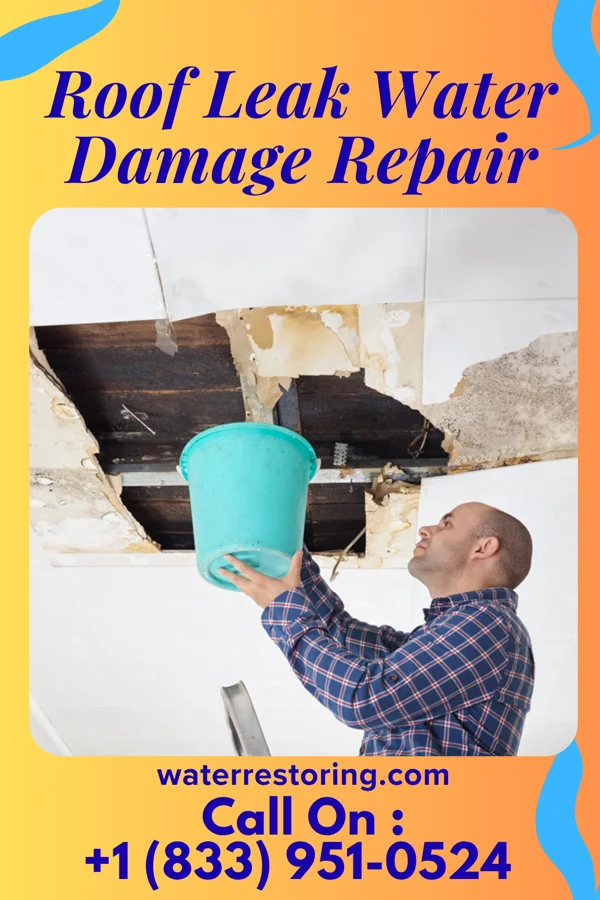 Roof Leak Water Damage Repair in Orland Park, IL